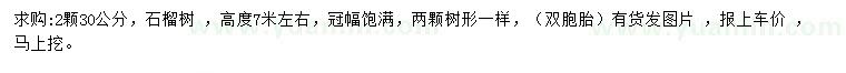 求購(gòu)30公分石榴樹(shù)