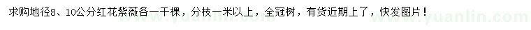 求購地徑8、10公分紅花紫薇