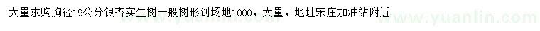 求購胸徑19公分銀杏