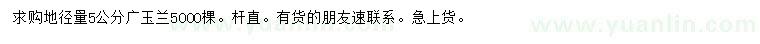 求購(gòu)地徑量5公分廣玉蘭