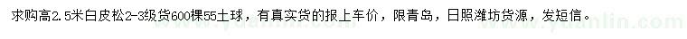 求購高2.5米白皮松