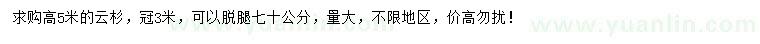 求購高5米云杉