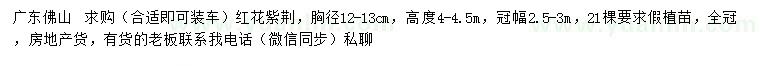 求購胸徑12-13公分紅花紫荊