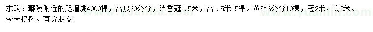 求購(gòu)爬墻虎、結(jié)香、黃櫨