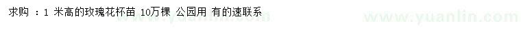 求購高1米玫瑰花