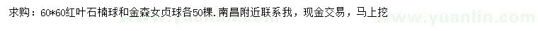 求購60*60公分紅葉石楠球、金森女貞球