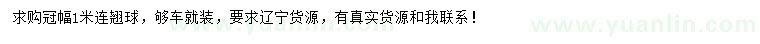 求購冠幅1米連翹球