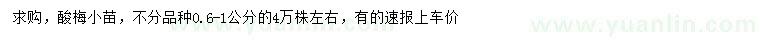 求購(gòu)0.6-1公分酸梅小苗