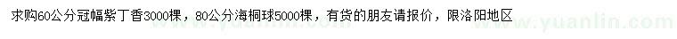 求購冠幅60公分紫丁香、80公分海桐球