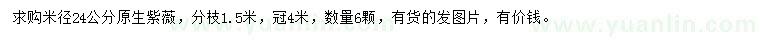 求購米徑24公分原生紫薇