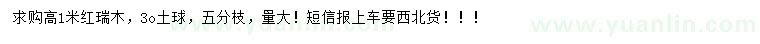 求購高1米紅瑞木