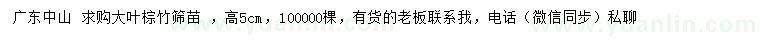 求購高5公分大葉棕竹篩苗 