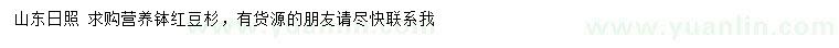 求購紅豆杉
