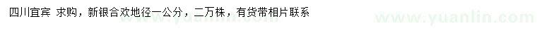 求購地徑1公分新銀合歡
