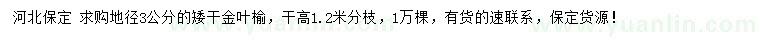 求購地徑3公分矮干金葉榆