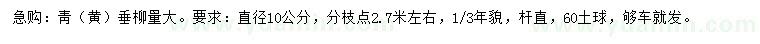 求購(gòu)直徑10公分青（黃）垂柳