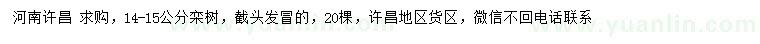 求購14-15公分欒樹