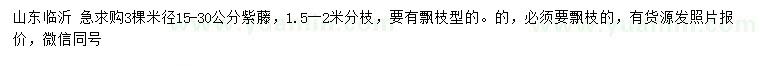 求購(gòu)米徑15-30公分紫藤