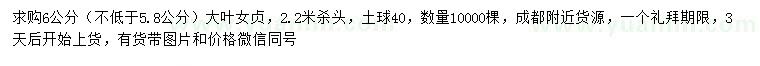 求購6公分大葉女貞