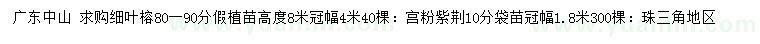 求購(gòu)80-90公分細(xì)葉榕、10公分宮粉紫荊