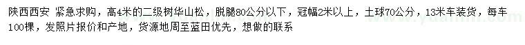 求購高4米華山松