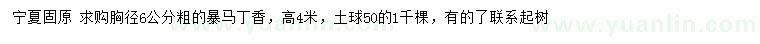 求購胸徑6公分暴馬丁香