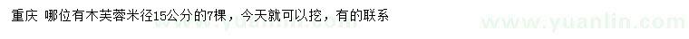 求購米徑15公分木芙蓉