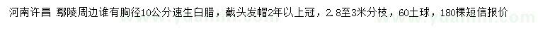 求購胸徑10公分速生白臘