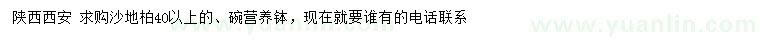 求購(gòu)40公分以上沙地柏