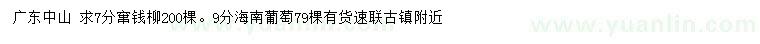 求購(gòu)7公分竄錢柳、9公分海南葡萄