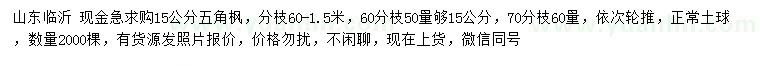 求購50公分量15公分五角楓