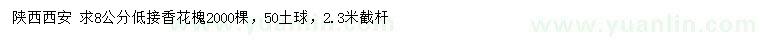 求購8公分低接香花槐