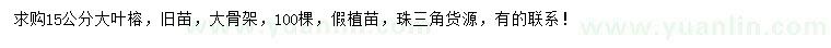 求購15公分大葉榕
