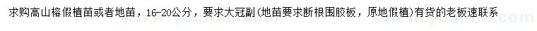 求購16-20公分高山榕