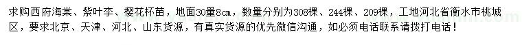 求購西府海棠、紫葉李、櫻花