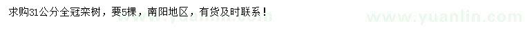 求購31公分欒樹