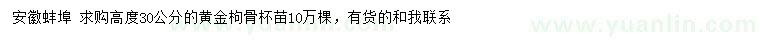 求購高度30公分黃金枸