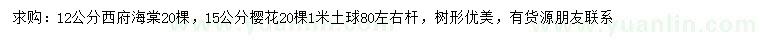 求購(gòu)12公分西府海棠、15公分櫻花