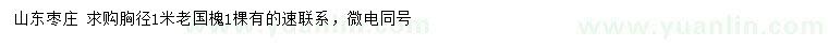 求購胸徑1米老國槐