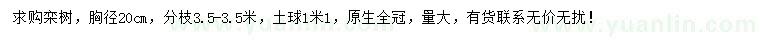 求購(gòu)胸徑20公分欒樹(shù)