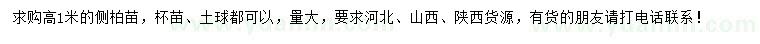 求購(gòu)高1米側(cè)柏