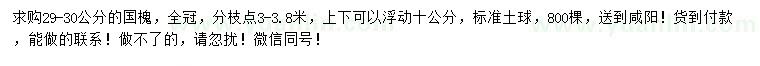 求購29-30公分國槐