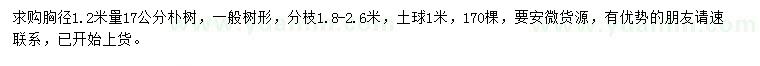 求購胸徑1.2米量17公分樸樹
