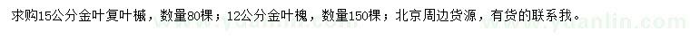 求購15公分金葉復(fù)葉槭、12公分金葉槐