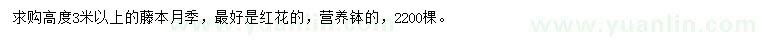 求購(gòu)高度3米以上藤本月季