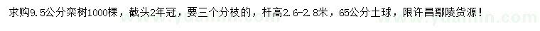 求購9.5公分欒樹