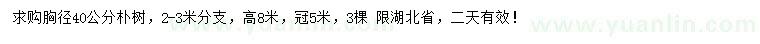 求購(gòu)胸徑40公分樸樹(shù)