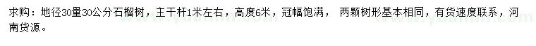 求購30量30公分石榴樹
