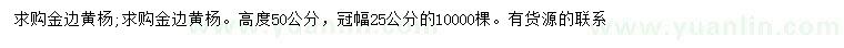求購高度50公分金邊黃楊