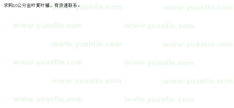 求購10公分金葉復(fù)葉槭
